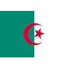 Algeria Flag, 2x3', Nylon