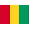 Guinea Flag, 2x3', Nylon