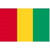 Guinea Flag, 4x6', Nylon