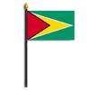 Guyana Flag on Staff, 4x6", Polyester