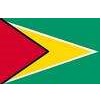 Guyana Flag, 2x3', Nylon