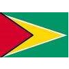 Guyana Flag, 3x5', Nylon