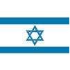 Israel Flag, 2x3', Nylon