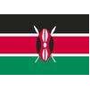 Kenya Flag, 5x8', Nylon