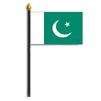 Pakistan Flag on Staff, 8x12", Polyester