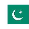 Pakistan Flag, 2x3', Nylon