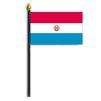 Paraguay Flag on Staff, 8x12", Polyester