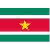 Suriname Flag, 2x3', Nylon