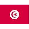 Tunisia Flag, 2x3', Nylon