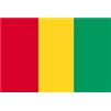 Guinea Flag w/pole hem, 4x6', Nylon