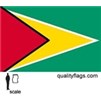 Guyana Flag w/pole hem, 2x3', Nylon