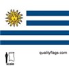 Uruguay Flag w/pole hem, 3x5', Nylon