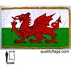 Wales Flag Frg w/pole hem, 3x5', Nylon