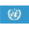 United Nations Flag w/pole hem, 4x6', Nylon