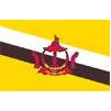 Brunei Flag w/pole hem, 4x6', Nylon