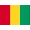 Guinea Flag, 12x18", Nylon