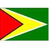 Guyana Flag, 4x6', Nylon