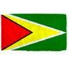 Guyana Flag w/pole hem, 4x6', Nylon