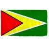 Guyana Flag w/pole hem, 5x8', Nylon