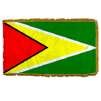 Guyana Flag Frg w/pole hem, 2x3', Nylon