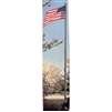 Atlas Outdoor Flagpole, 30', Alumin Black