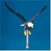 Flying Eagle Ornament, 12", Aluminum Natural