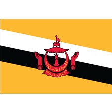 brunei-flag