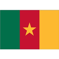 cameroon-flag