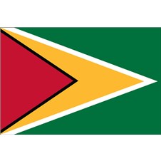 guyana-flag