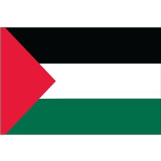 palestine-flag